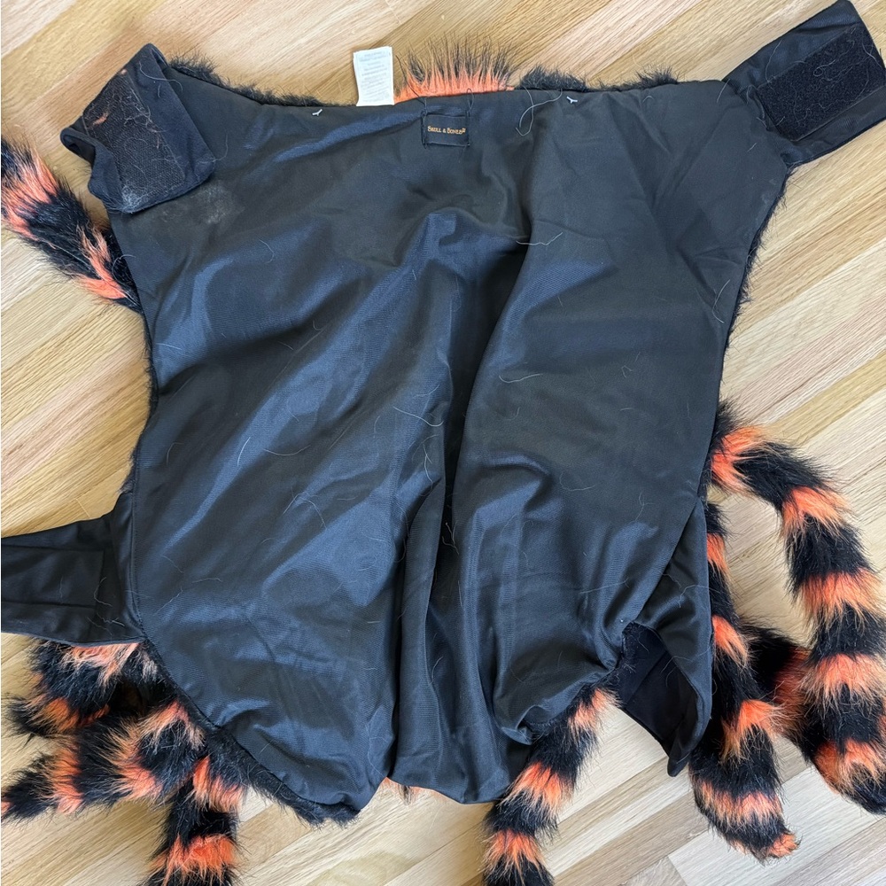 Dog Spider Halloween Costume - Picture 9 of 11